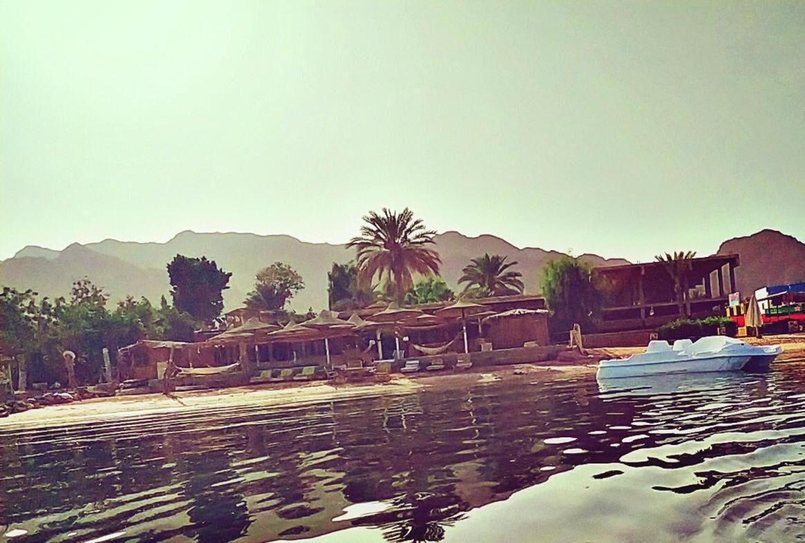 Elbadawy Camp