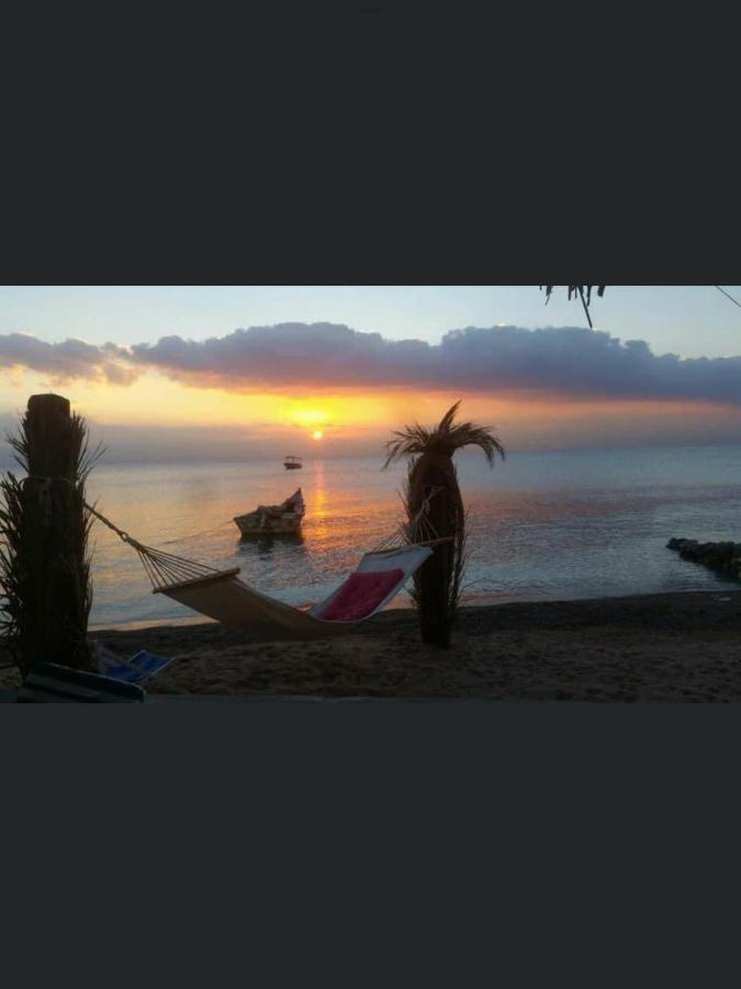 Camping Elbadawy Camp *