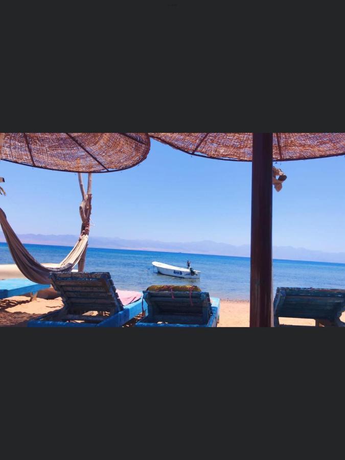 Elbadawy Camp *