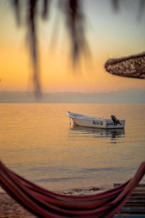 Elbadawy Camp