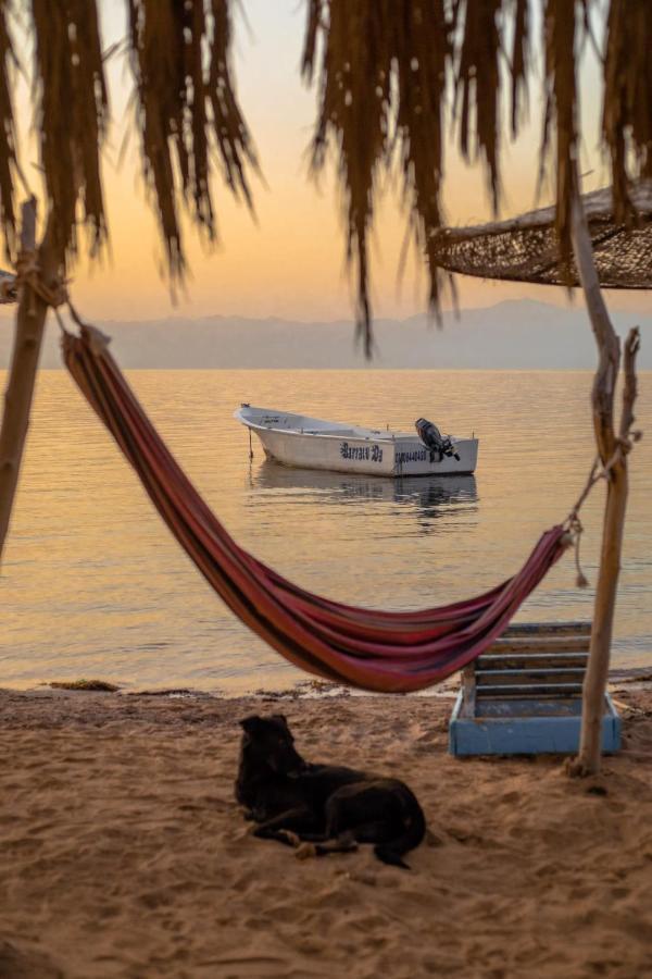 Elbadawy Camp *
