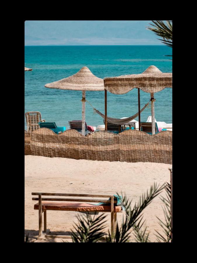 Elbadawy Camp Camping