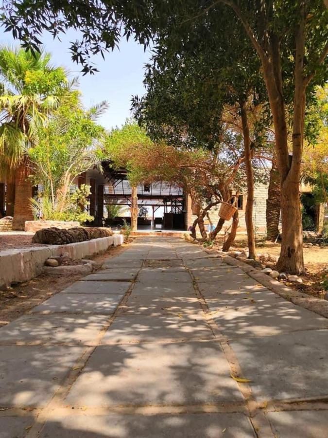 Camping Elbadawy Camp Nuweiba`